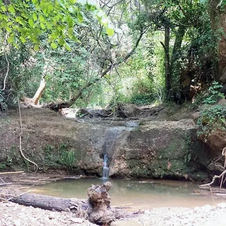 Y Bano Privado, Tranquilidad Y Naturaleza. Homestay *