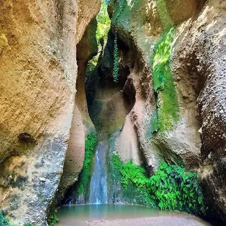 Y Bano Privado, Tranquilidad Y Naturaleza. Pansiyon Barselona