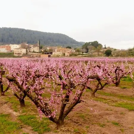 Y Bano Privado, Tranquilidad Y Naturaleza. Barselona