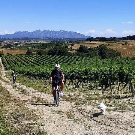 Y Bano Privado, Tranquilidad Y Naturaleza. Pansiyon *